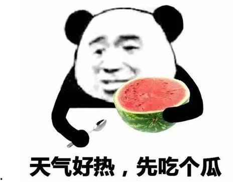 女生发个吃瓜的表情怎么回
